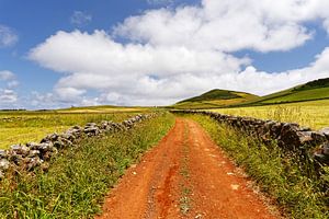 Roter Fahrweg in einer hügeligen Landschaft