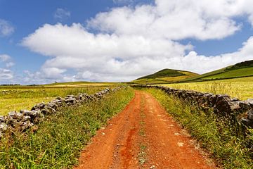 Red track in a hilly landscape by Ralf Lehmann