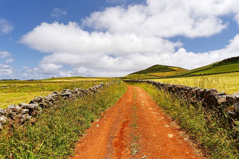 Red track in a hilly landscape by Ralf Lehmann