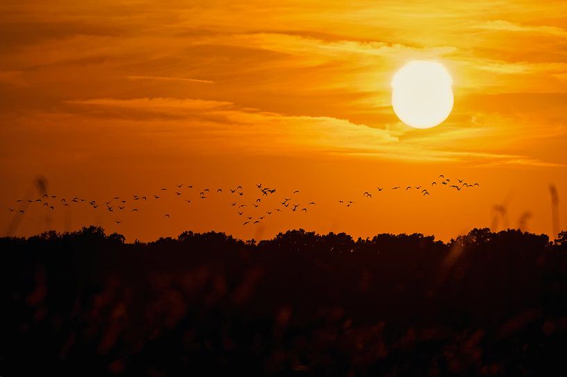 Zonsondergang van Jiří Švestka