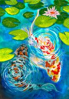Koi vissen
