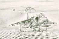 Harrier van Frank Vos thumbnail