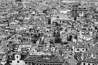 Venice Maze