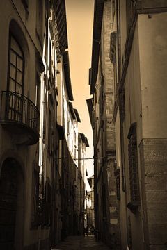 Tuscany Italy Lucca Downtown Sepia