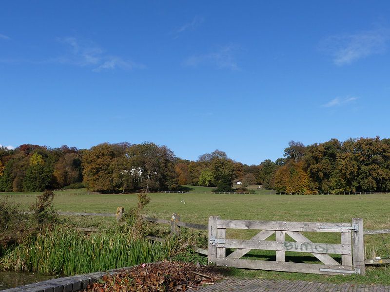 Hek bij Park Sonsbeek par Petra Dielman