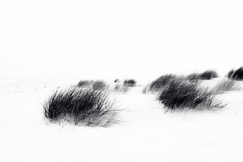 Dünenlandschaft Ostfriesland auf Juist