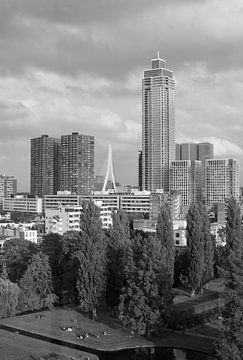 Rotterdam in Schwarz und Weiß von Gerard de Zwaan