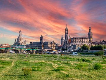 De skyline van Dresden aan de oevers van de Elbe van Animaflora PicsStock