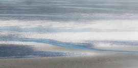 Silver Sand by Greetje van Son