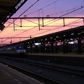 Miranda Broos Profile picture