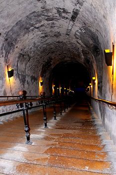 Op weg naar de champagnekelder