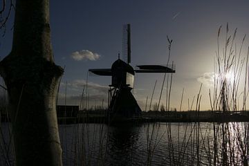 Molen bij het water van Erik Brons