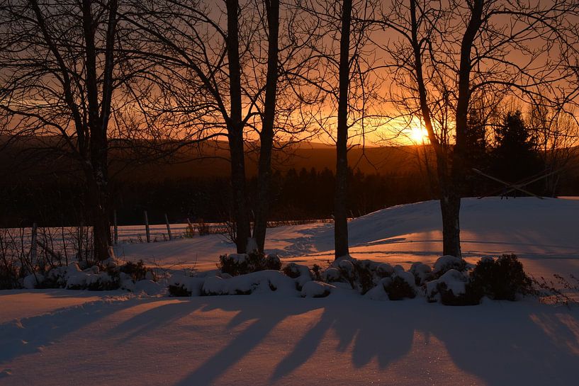 Ein Sonnenaufgang an einem kalten Morgen von Claude Laprise