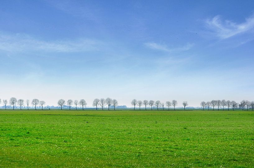 Groningen landscape by Corinne Welp