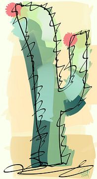 Cave15 - Cactus van Cofetti