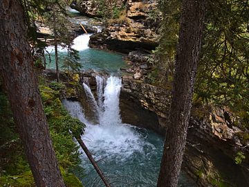 Waterfall in Johnston Canyon by Timon Schneider