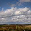 Salt marsh landscape in Groningen with warm autumn colours. by Bo Scheeringa Photography