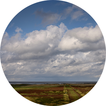 Kwelderlandschap in Groningen met warme herfstkleuren.