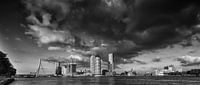 Skyline Rotterdam | Schwarz und Weiß von Mark De Rooij Miniaturansicht