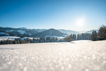 Zonsondergang met uitzicht op Oberstaufen, Staufen, Säntis en de Hochgrat van Leo Schindzielorz