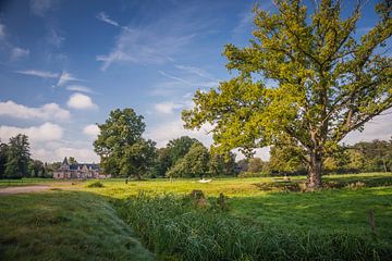 Twickel landgoed van Freddy Hoevers