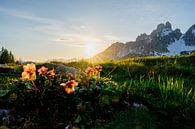 Berglandschaft "Sonnenuntergang mit Rosen" von Coen Weesjes Miniaturansicht