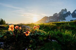 Paysage de montagne "Coucher de soleil avec des roses". sur Coen Weesjes