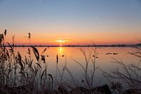Sonnenaufgang im glatten IJsselmeer