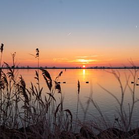 Sonnenaufgang im glatten IJsselmeer von Miranda van Assema