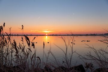 Zonsopkomst in een strak IJsselmeer van Miranda van Assema