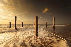Village de palmiers Petten dans la mer au coucher du soleil sur KB Design & Photography (Karen Brouwer)