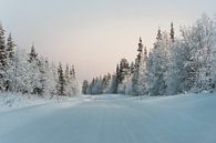 Finlande au milieu de l'hiver par Andy Troy Aperçu