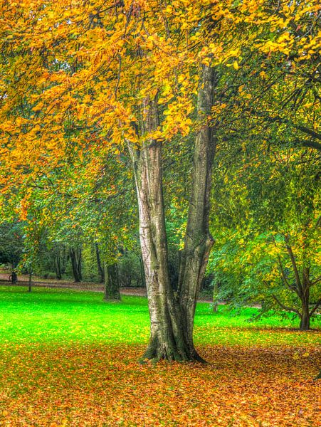 Couleurs d'automne par Edgar Schermaul