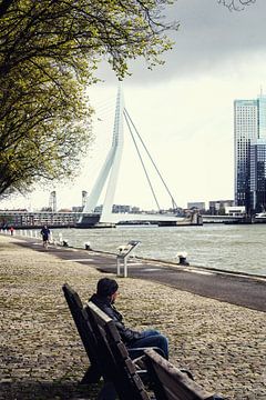 Resting in Rotterdam.