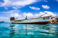 Pelikan-Fischerboot aus Curaçao von Roel Jungslager Miniaturansicht