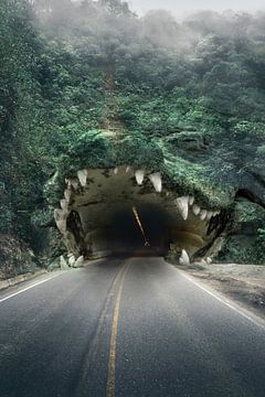 Krokodil Tunnel surreal art