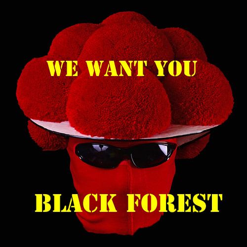 Black Forest WE WANT YOU