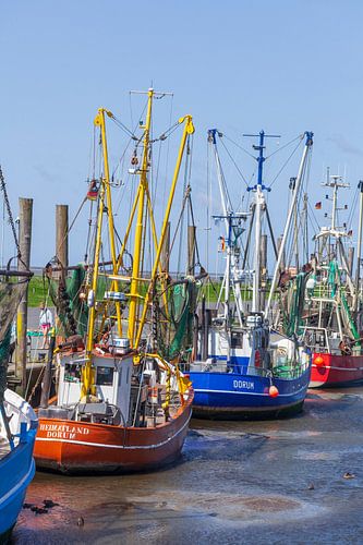 Kutterhafen, Dorumer Neufeld