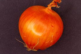 Whole yellow onion bulb on dark background by de-nue-pic