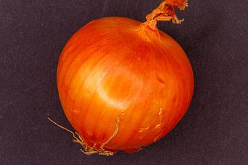 Bulbe d'oignon jaune entier sur fond sombre sur de-nue-pic