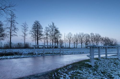 Winters landschap in de Alblasserwaard