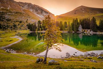 NEBEL MOUNTAIN LAKE van Simon Schuhmacher