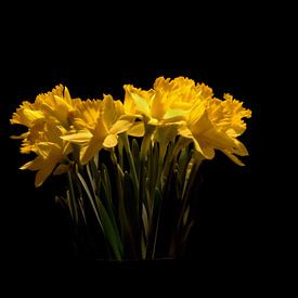 A flower in the dark sur wouter De Prins