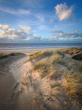 Dunes, plage et mer sur la côte néerlandaise