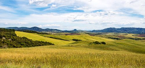 Toscane - Omgeving pisa