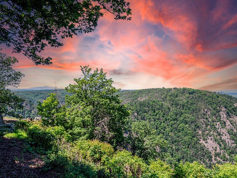 Uitzicht over het Harz Nationaal Park in de zomer van Animaflora PicsStock