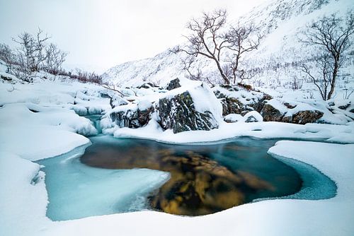 portaal naar ............