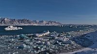 Jökulsárlón gletsjer lagune van Timon Schneider thumbnail