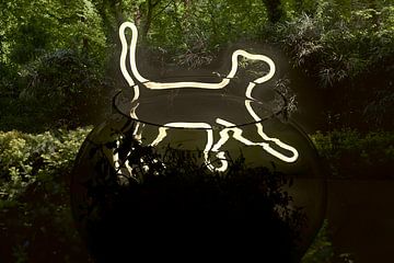 From the Depths by True Color Stories