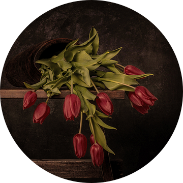 gevallen tulpen in het rood van Peter Abbes